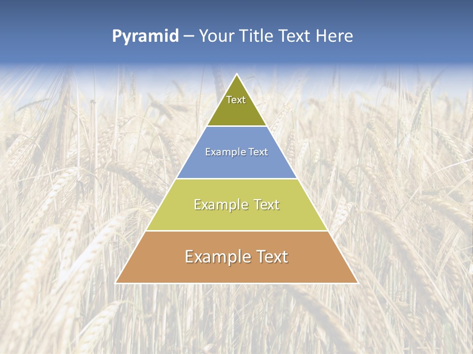 Kernel Peasant Pure PowerPoint Template