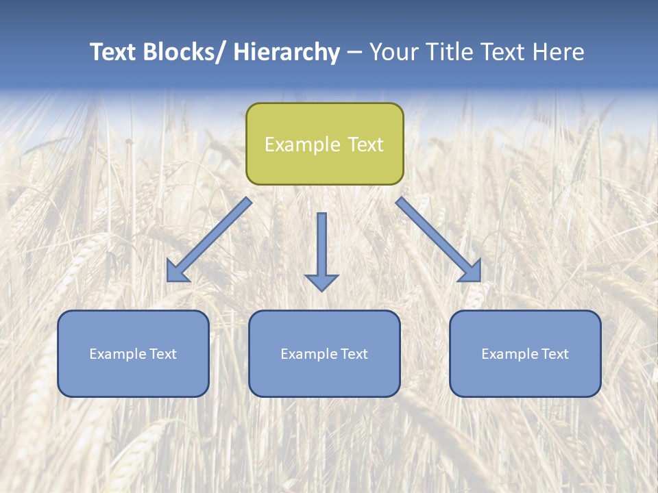 Kernel Peasant Pure PowerPoint Template