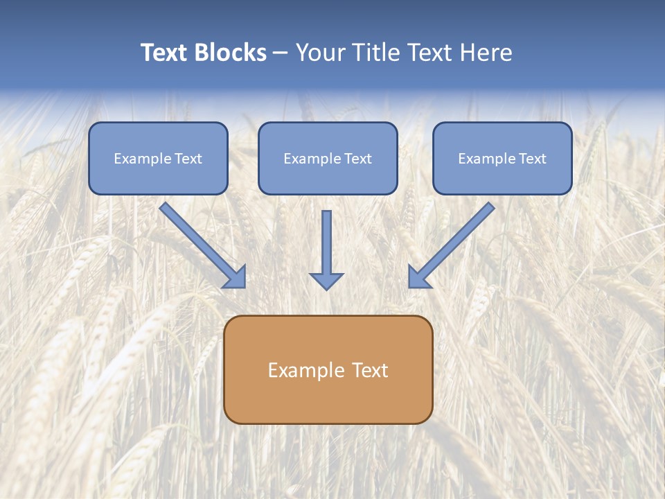 Kernel Peasant Pure PowerPoint Template