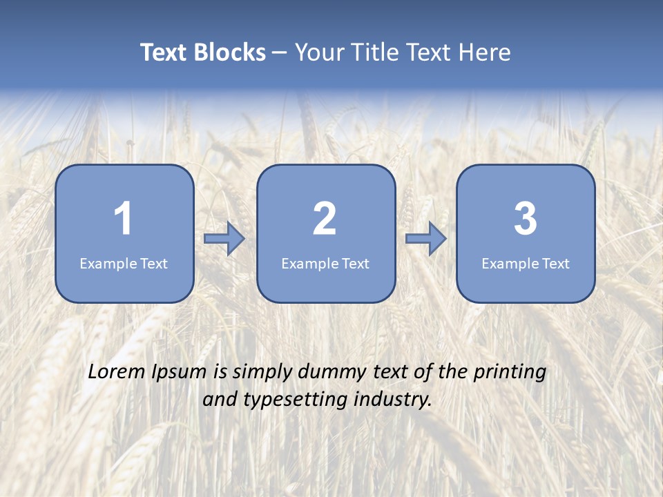 Kernel Peasant Pure PowerPoint Template