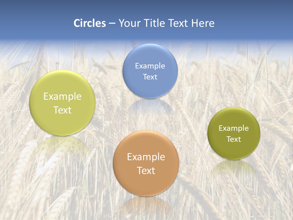 Kernel Peasant Pure PowerPoint Template