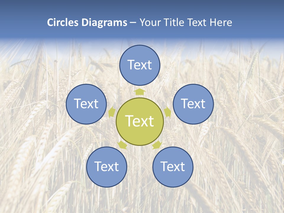 Kernel Peasant Pure PowerPoint Template