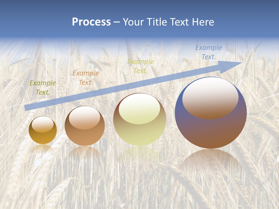 Kernel Peasant Pure PowerPoint Template