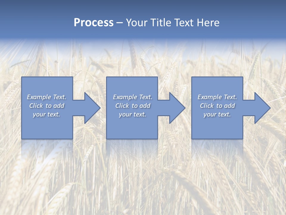 Kernel Peasant Pure PowerPoint Template