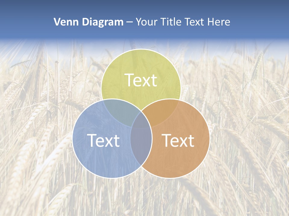 Kernel Peasant Pure PowerPoint Template