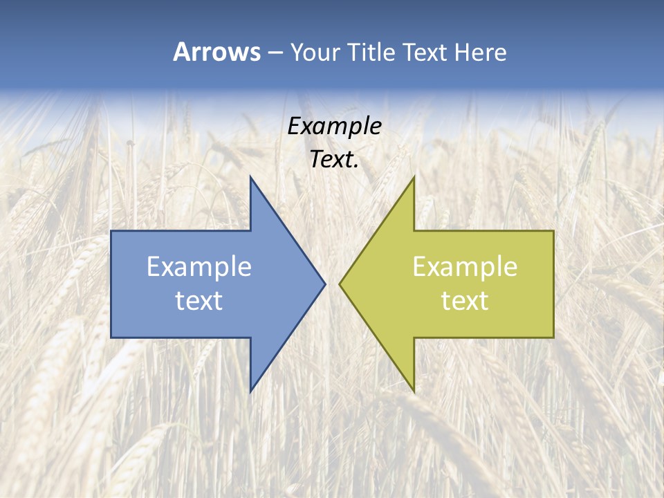 Kernel Peasant Pure PowerPoint Template