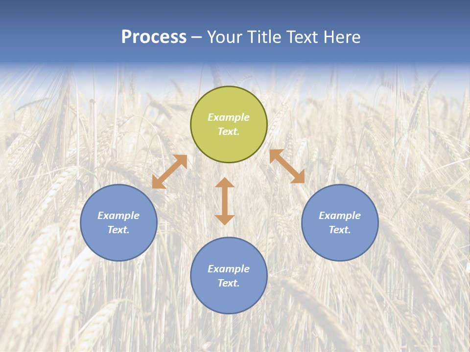 Kernel Peasant Pure PowerPoint Template