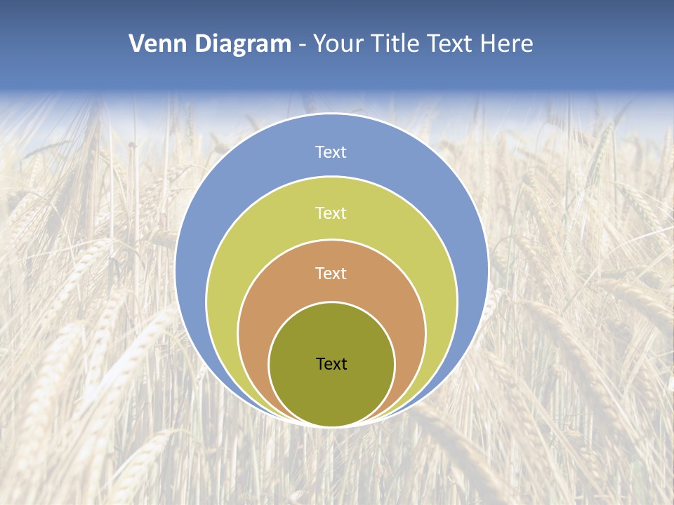 Kernel Peasant Pure PowerPoint Template