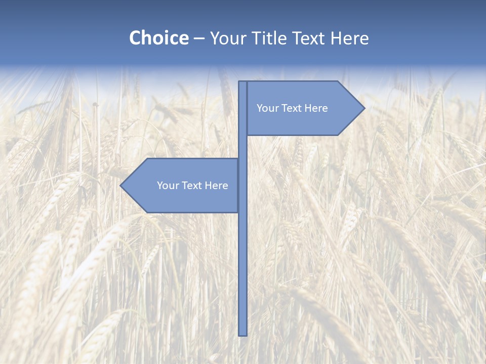 Kernel Peasant Pure PowerPoint Template