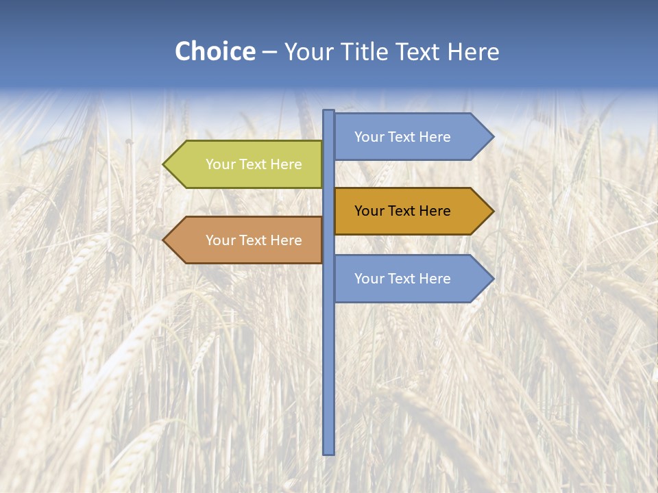 Kernel Peasant Pure PowerPoint Template