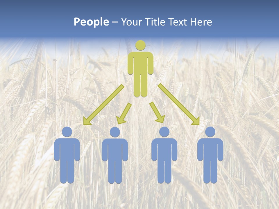 Kernel Peasant Pure PowerPoint Template