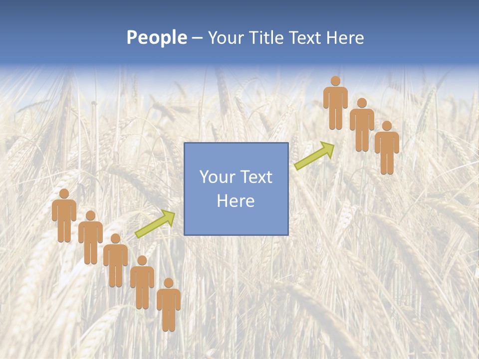 Kernel Peasant Pure PowerPoint Template