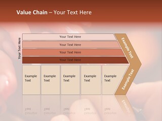 Therapy Beauty French PowerPoint Template
