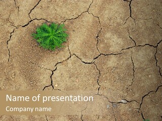 Sand Ecology Outside PowerPoint Template