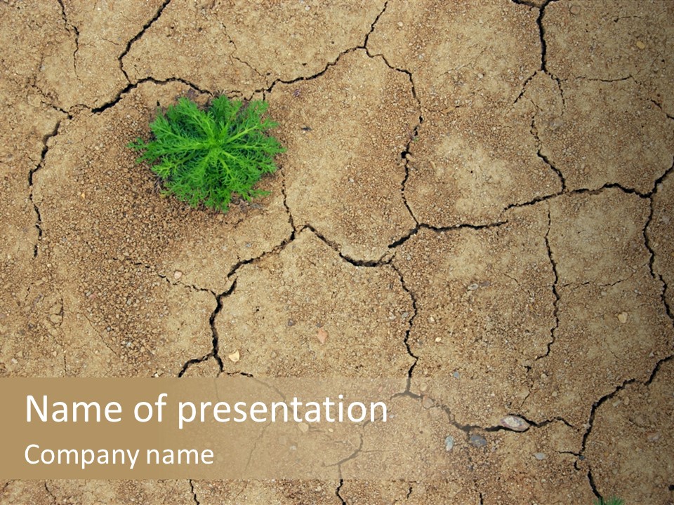 Sand Ecology Outside PowerPoint Template