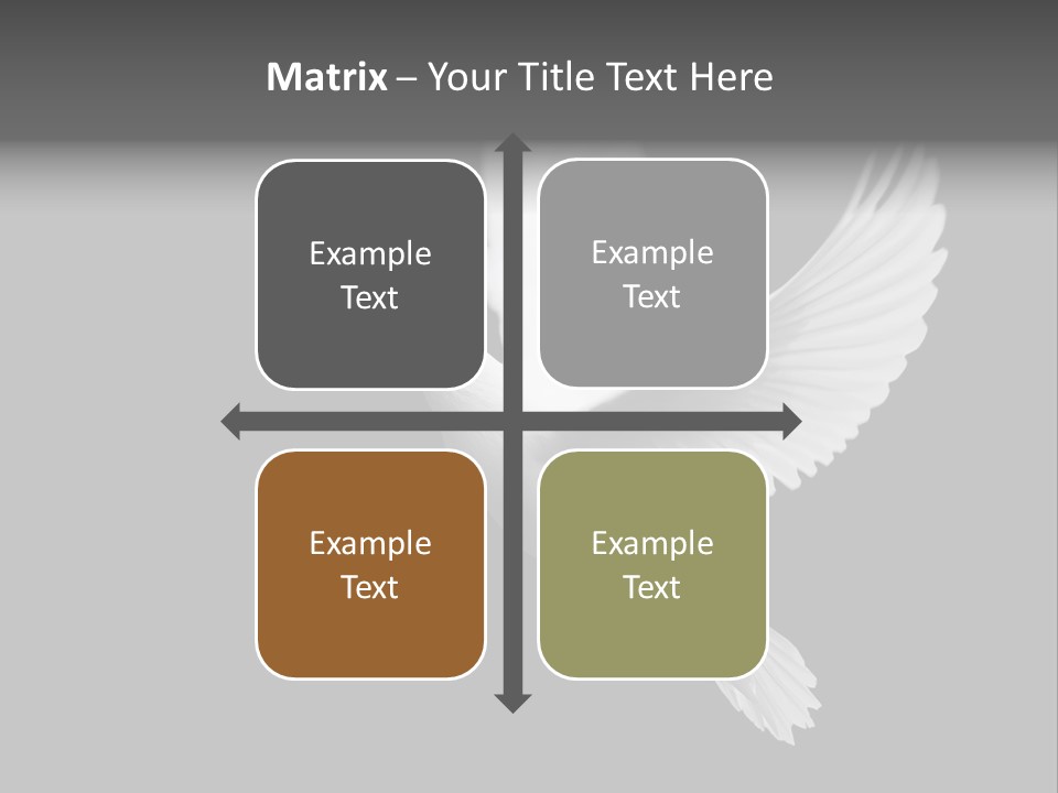 Purity Isolated Feather PowerPoint Template