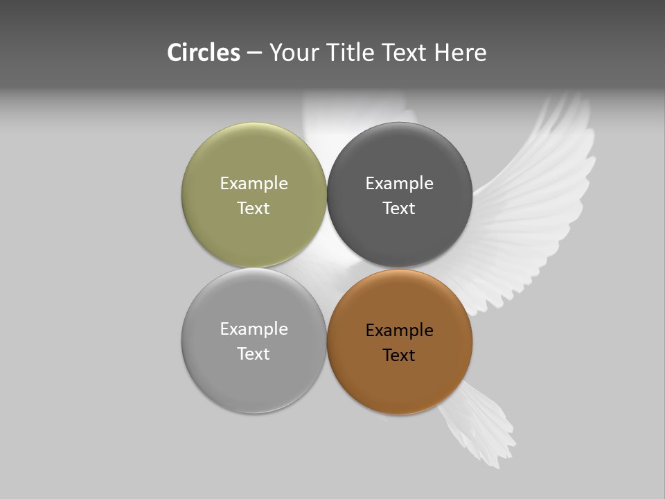 Purity Isolated Feather PowerPoint Template