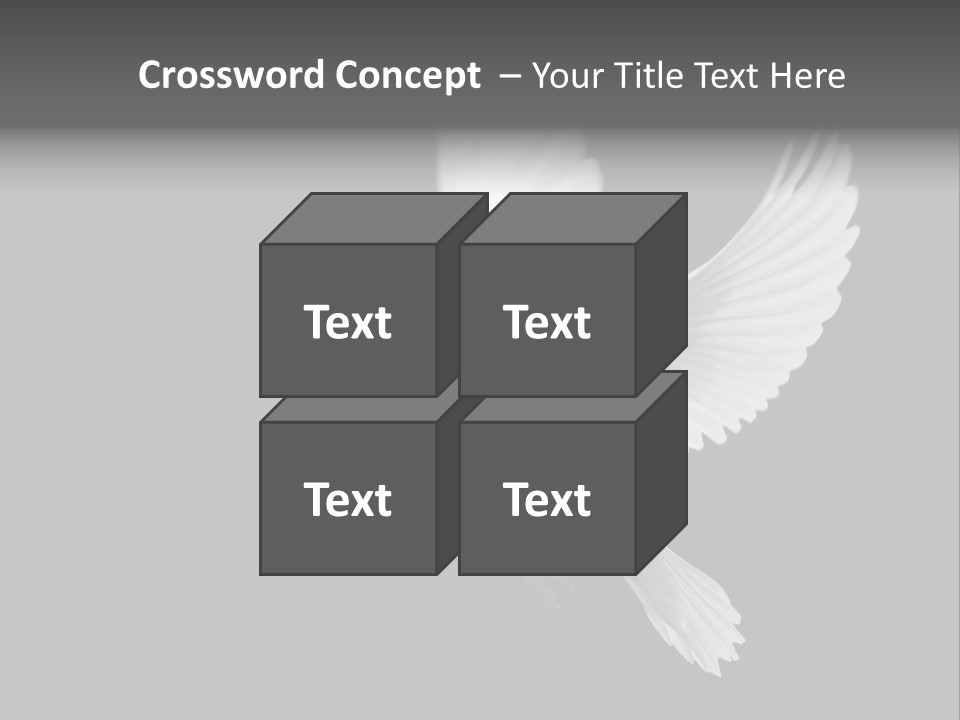 Purity Isolated Feather PowerPoint Template