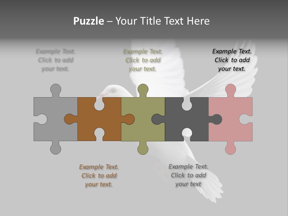 Purity Isolated Feather PowerPoint Template