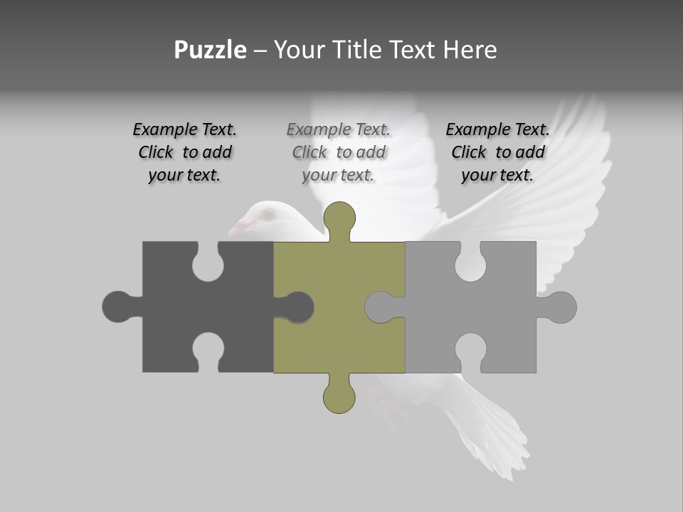 Purity Isolated Feather PowerPoint Template