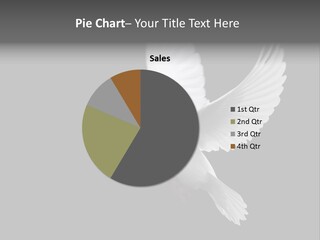 Purity Isolated Feather PowerPoint Template