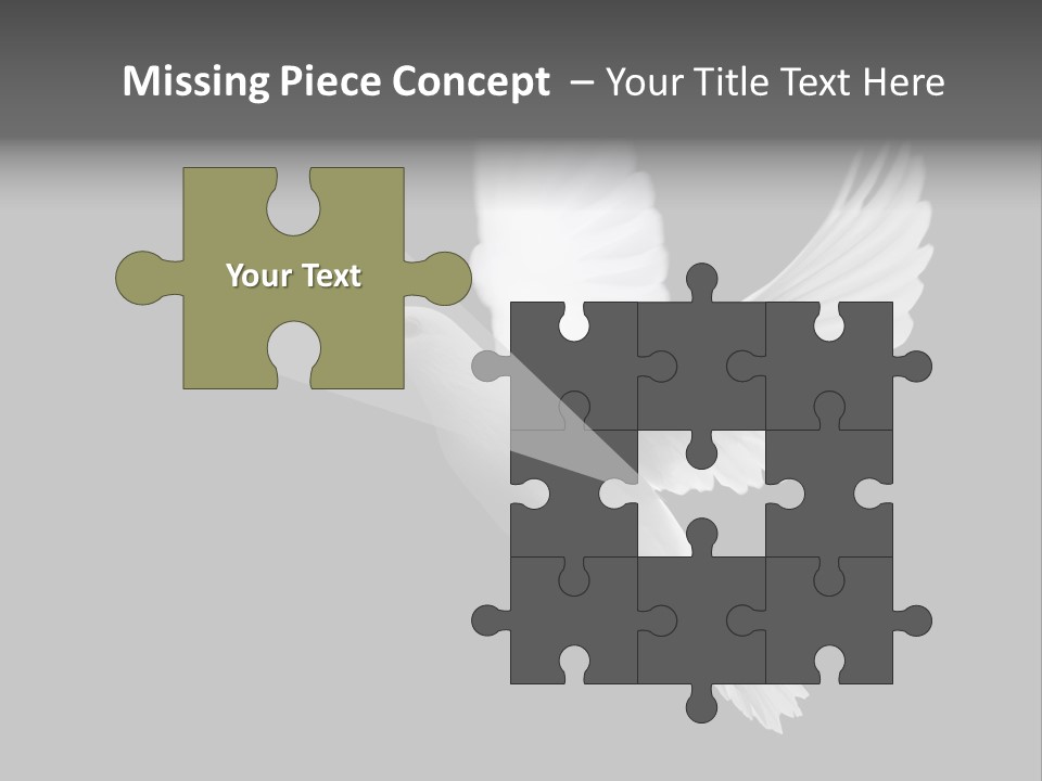 Purity Isolated Feather PowerPoint Template