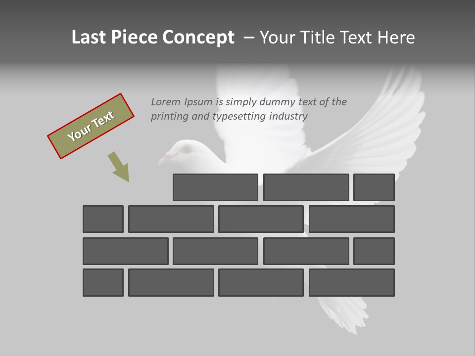 Purity Isolated Feather PowerPoint Template