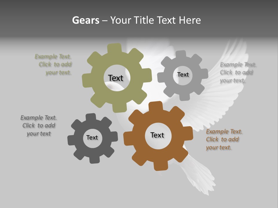 Purity Isolated Feather PowerPoint Template