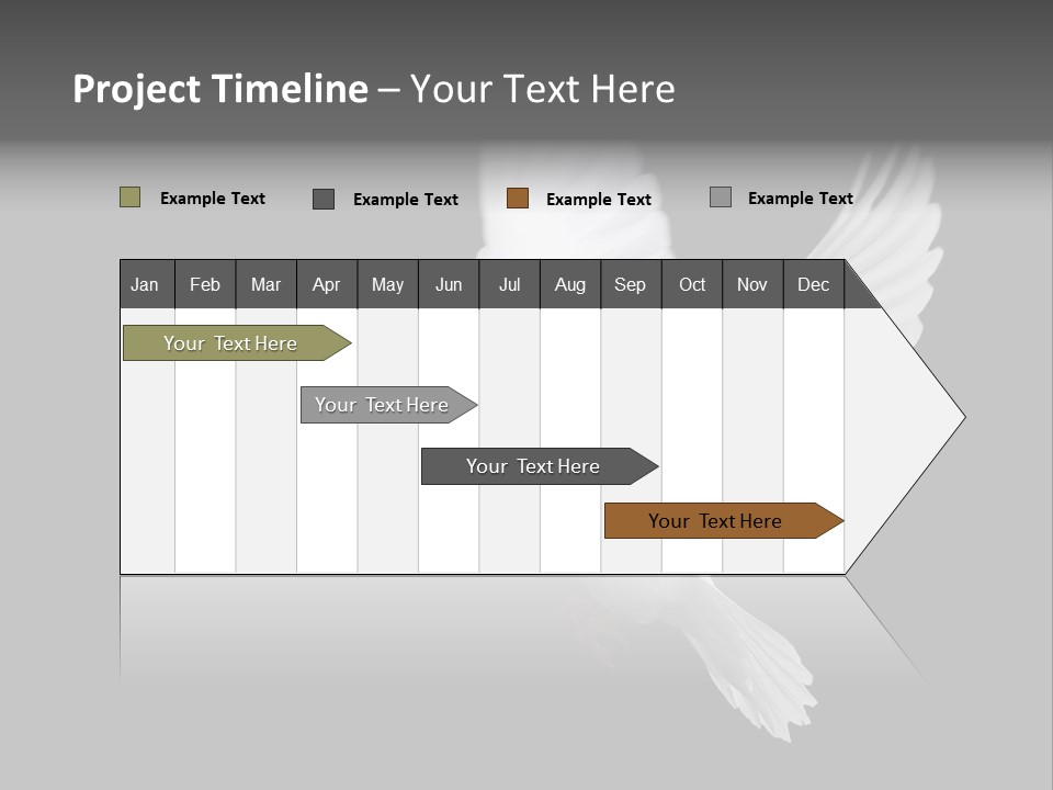 Purity Isolated Feather PowerPoint Template