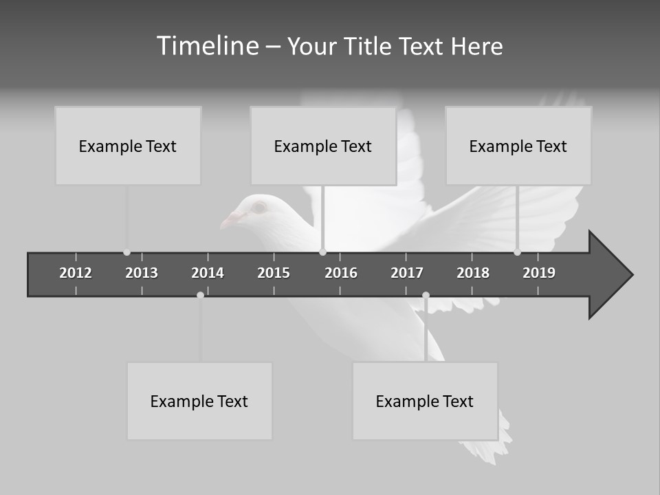 Purity Isolated Feather PowerPoint Template