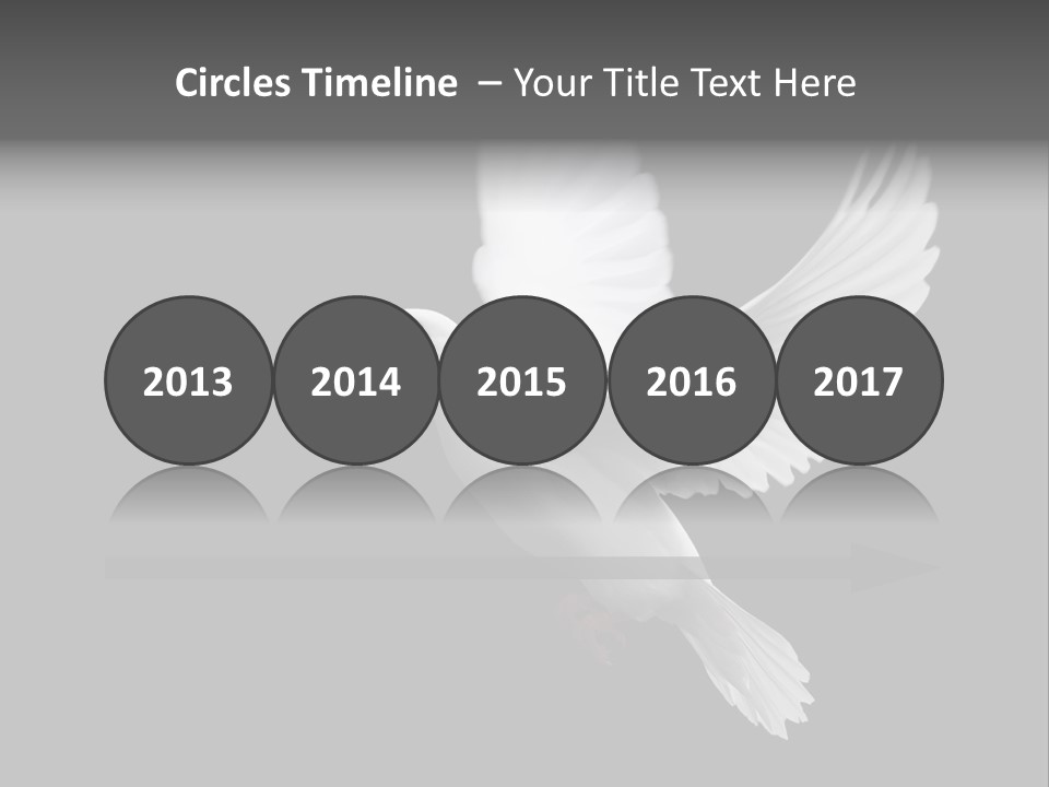 Purity Isolated Feather PowerPoint Template