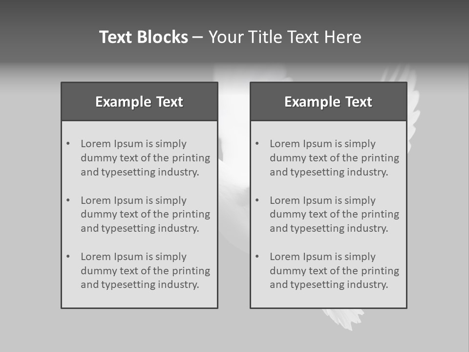 Purity Isolated Feather PowerPoint Template