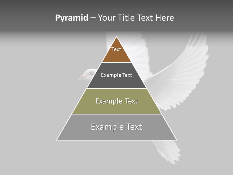 Purity Isolated Feather PowerPoint Template