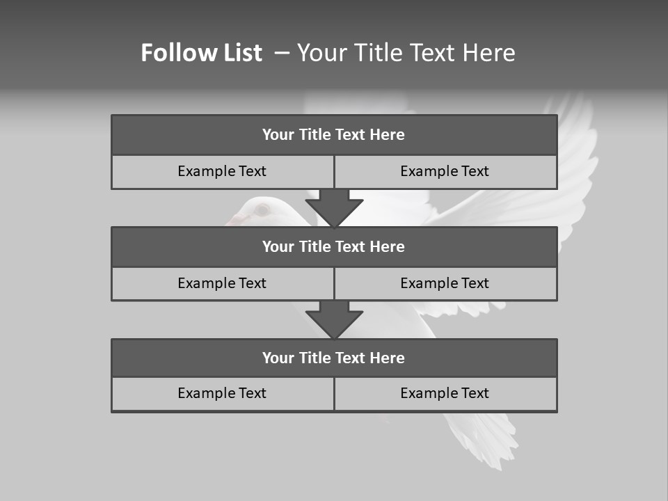 Purity Isolated Feather PowerPoint Template