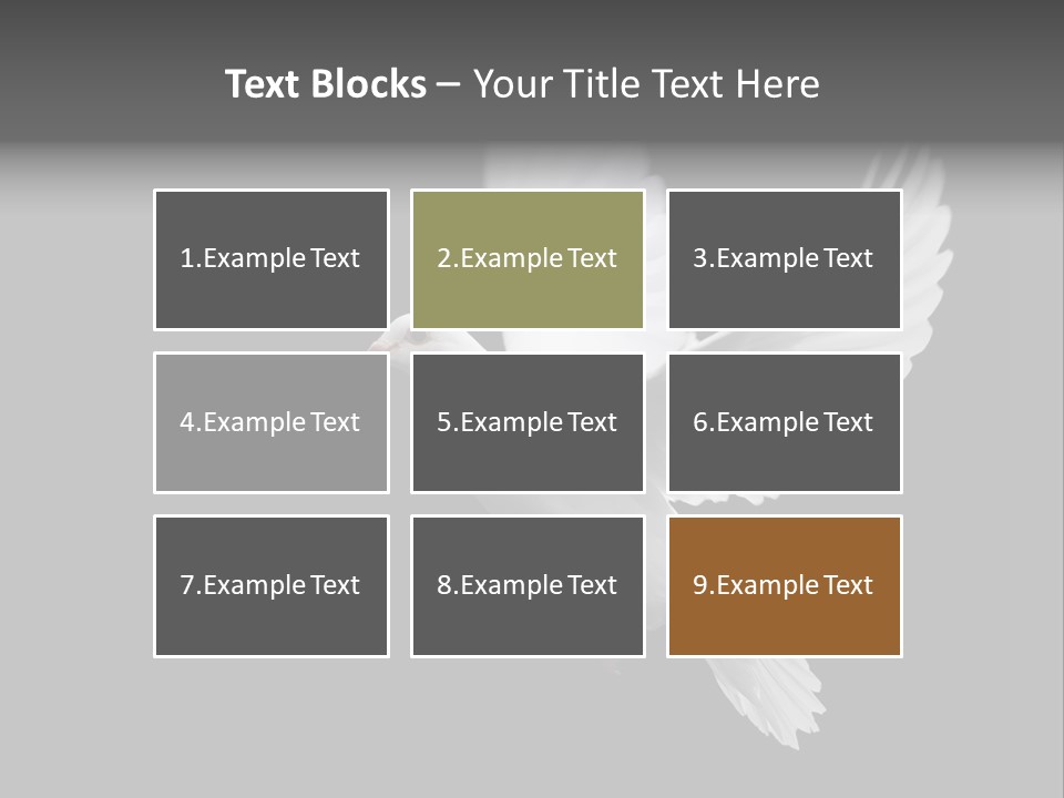 Purity Isolated Feather PowerPoint Template