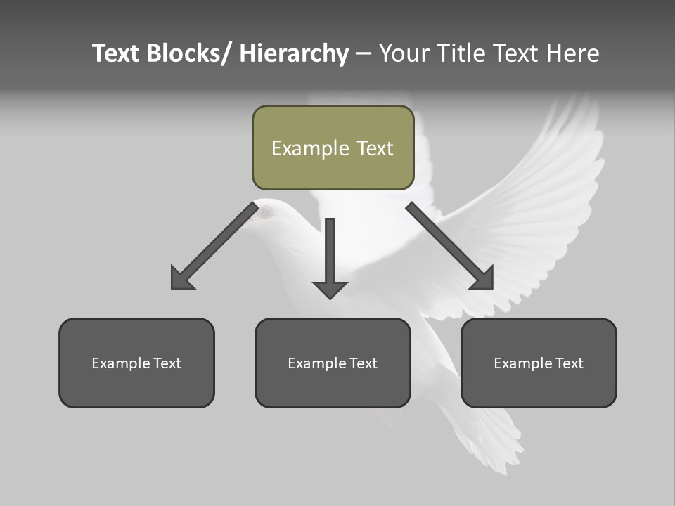 Purity Isolated Feather PowerPoint Template