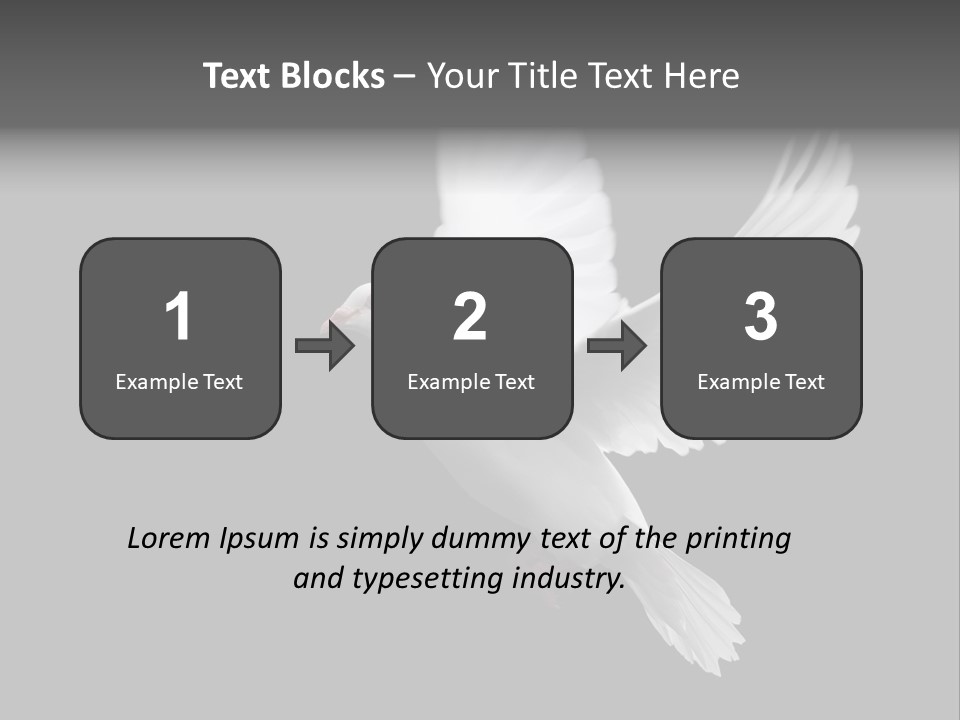 Purity Isolated Feather PowerPoint Template