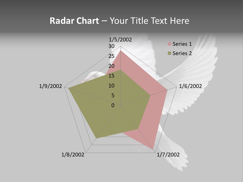 Purity Isolated Feather PowerPoint Template
