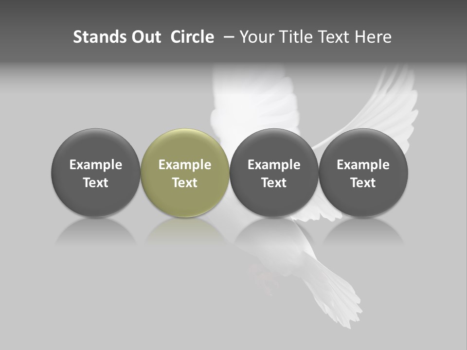 Purity Isolated Feather PowerPoint Template