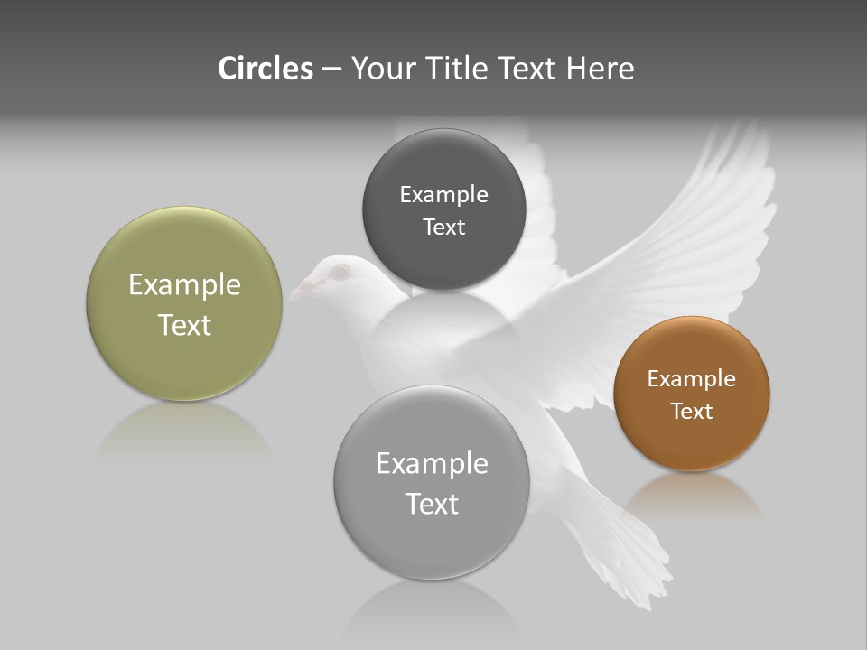 Purity Isolated Feather PowerPoint Template