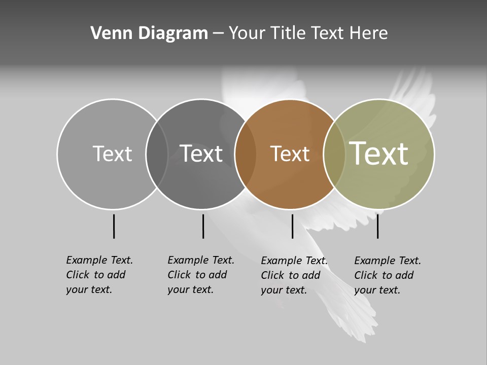 Purity Isolated Feather PowerPoint Template