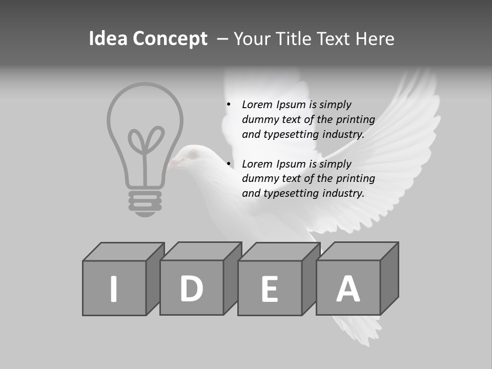 Purity Isolated Feather PowerPoint Template