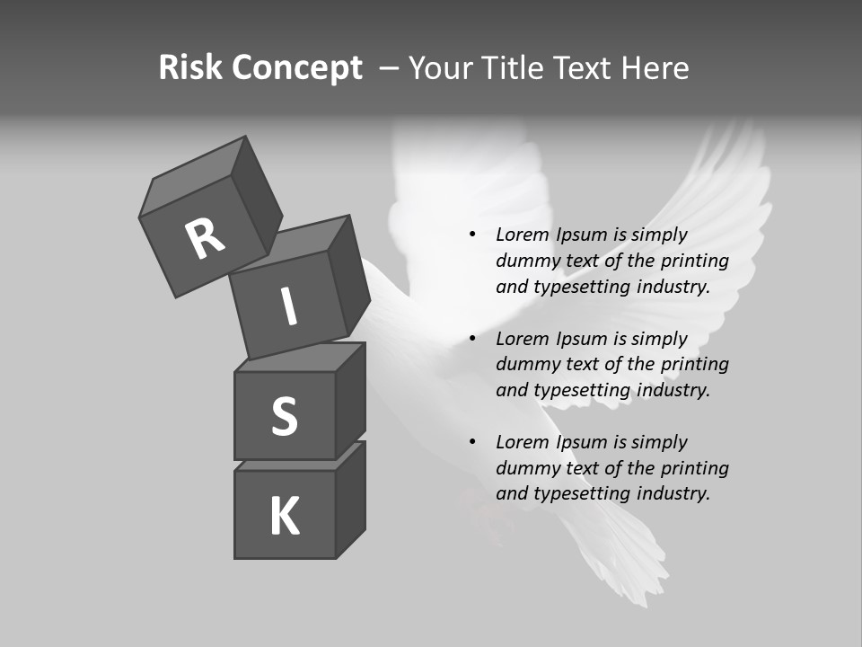 Purity Isolated Feather PowerPoint Template