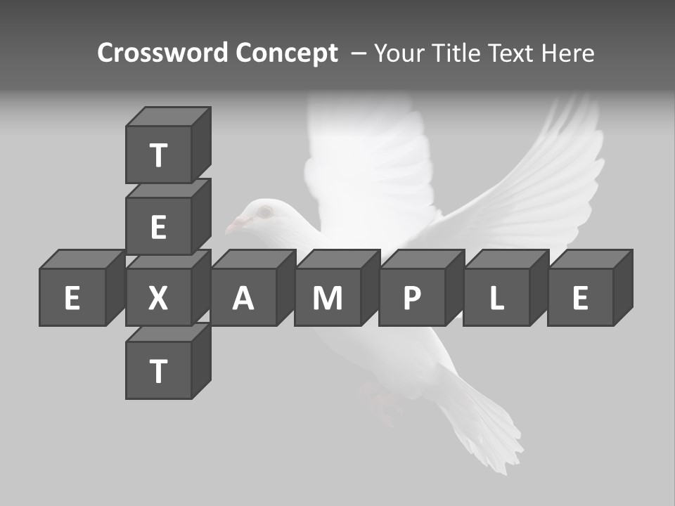 Purity Isolated Feather PowerPoint Template