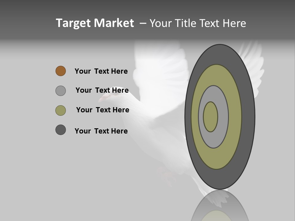 Purity Isolated Feather PowerPoint Template