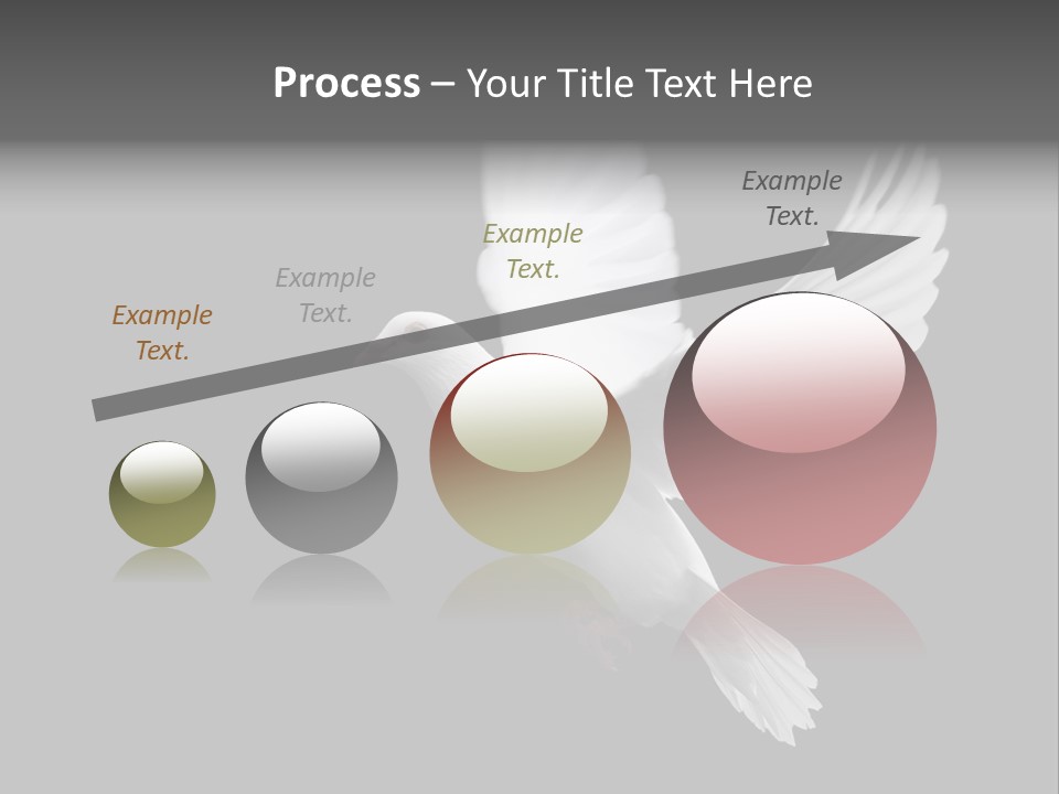 Purity Isolated Feather PowerPoint Template