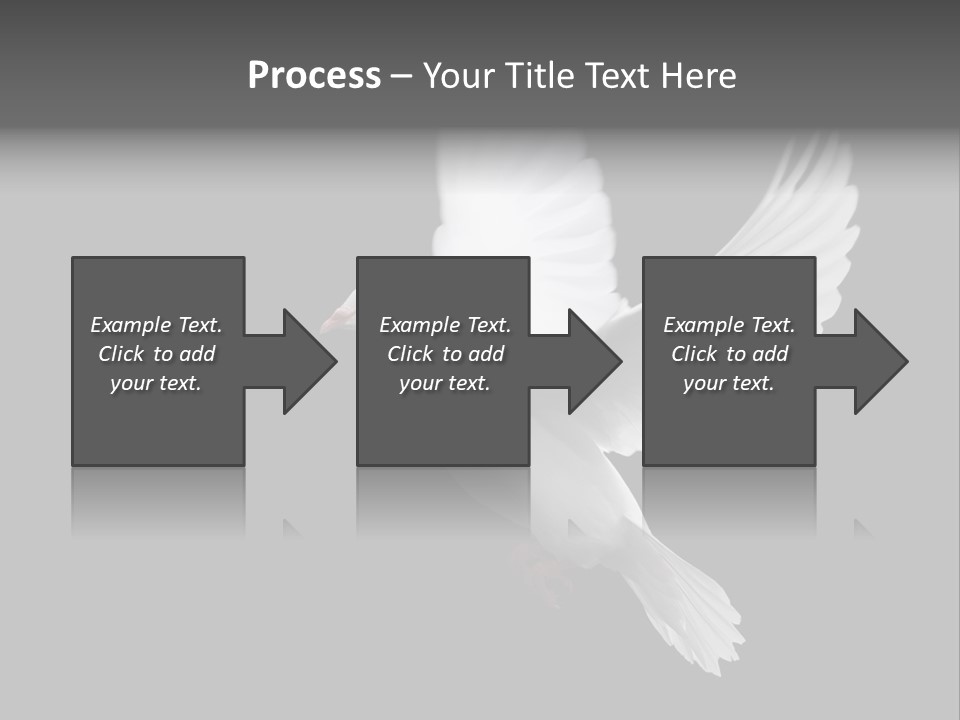 Purity Isolated Feather PowerPoint Template