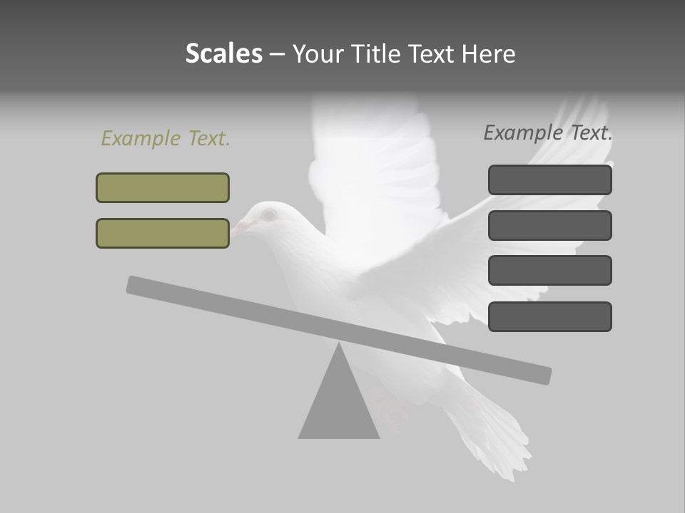 Purity Isolated Feather PowerPoint Template