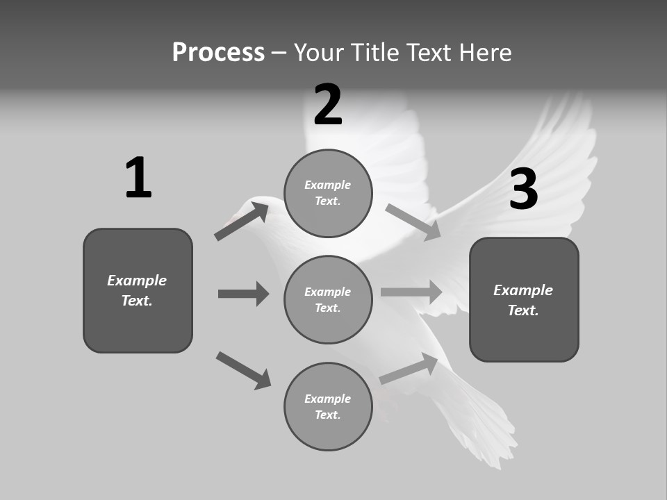 Purity Isolated Feather PowerPoint Template
