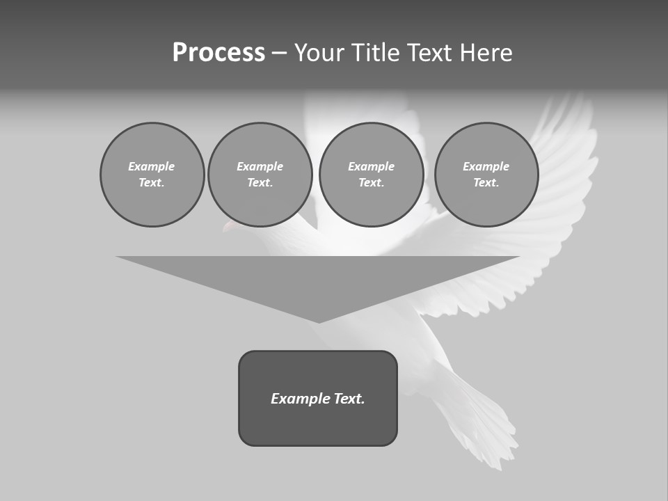 Purity Isolated Feather PowerPoint Template